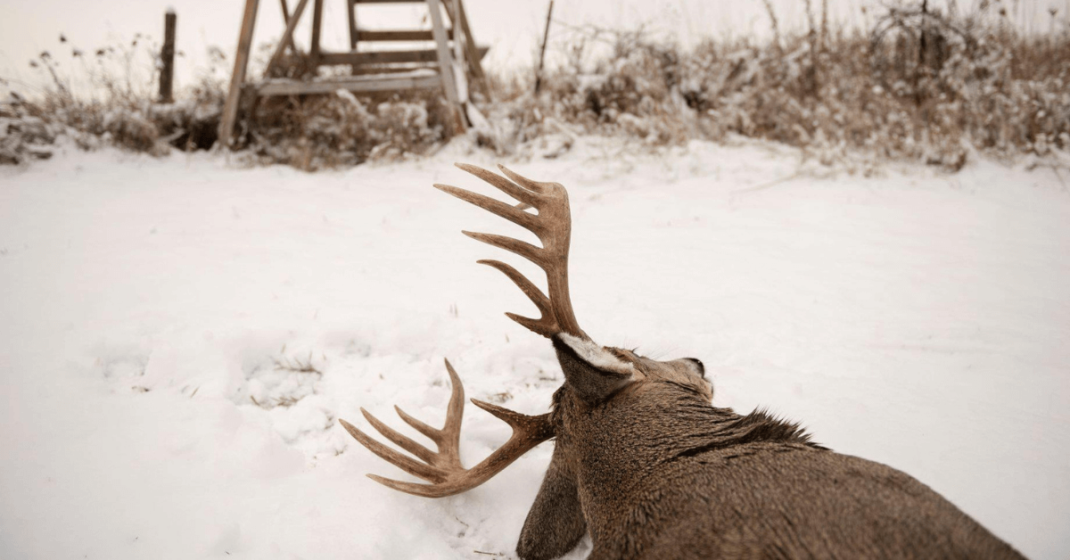 Featured Image for 4 Things to Keep in Mind for Late-Season Deer Hunting